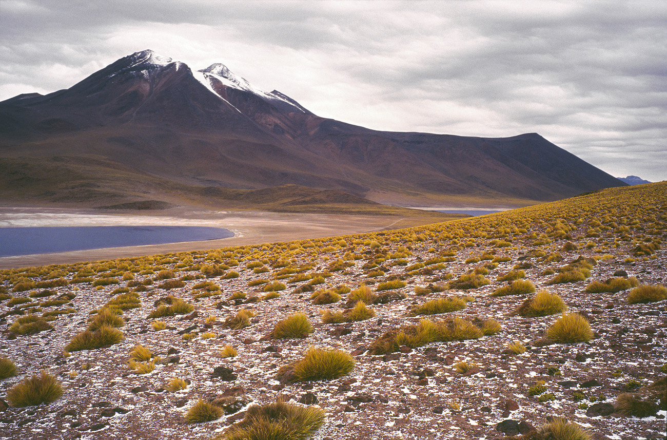 chi_9_26 laguna miscanti.jpg - Atacama laguna Miscanti neige frâiche sur les volcans avec l'arrivée du mauvais temps